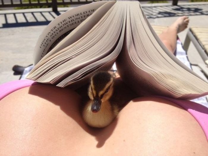 sexy-picdump-deel-12-15