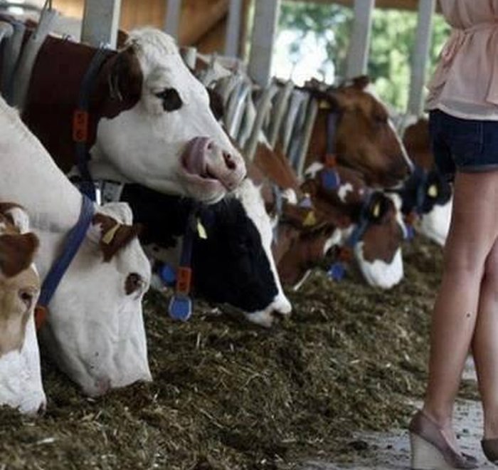 grappige-en-sexy-picdump-23