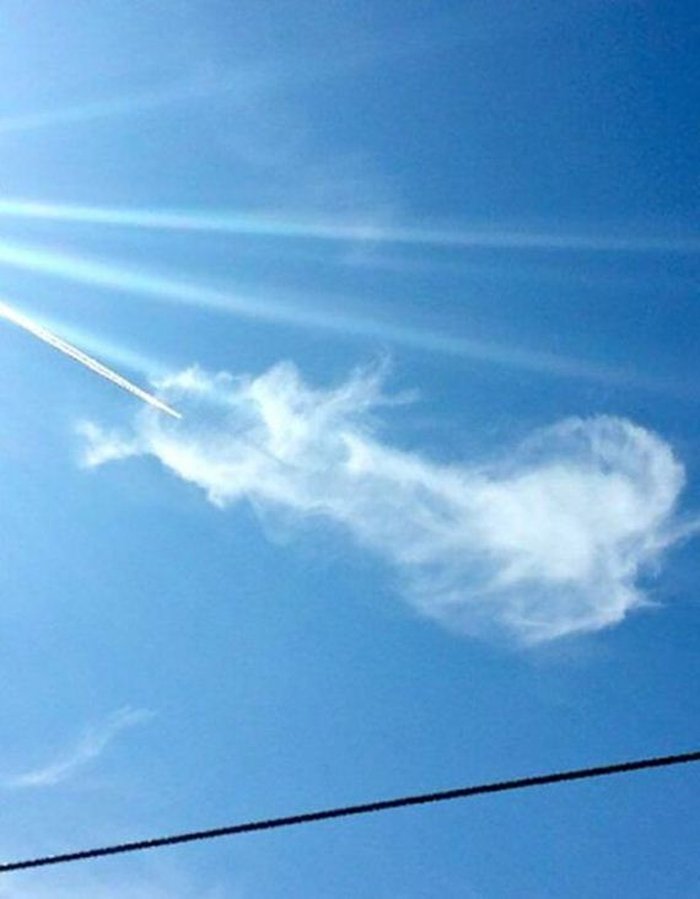 sexy-en-grappige-picdump-deel-14-8