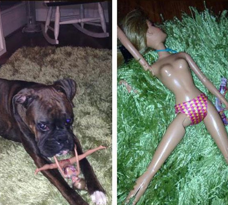 grappige-en-sexy-picdump-deel-19-32