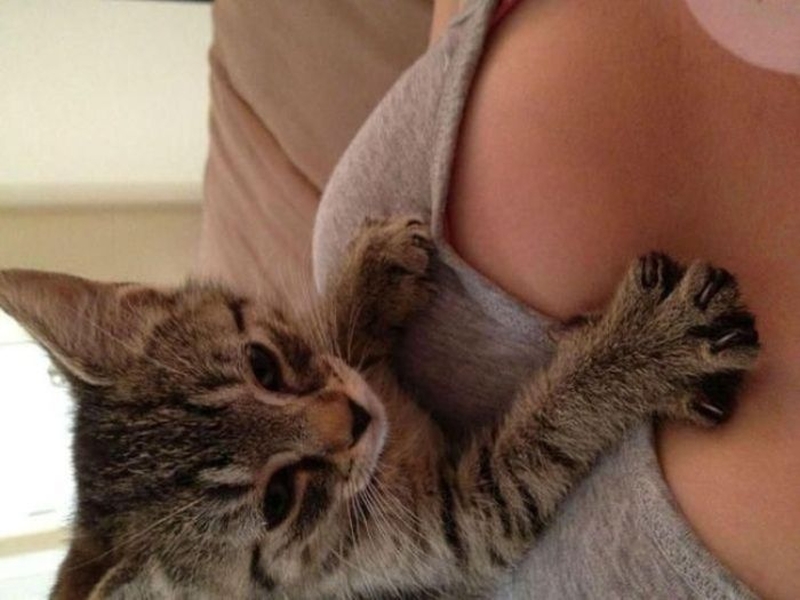 grappige-en-sexy-picdump-fotos-23-16