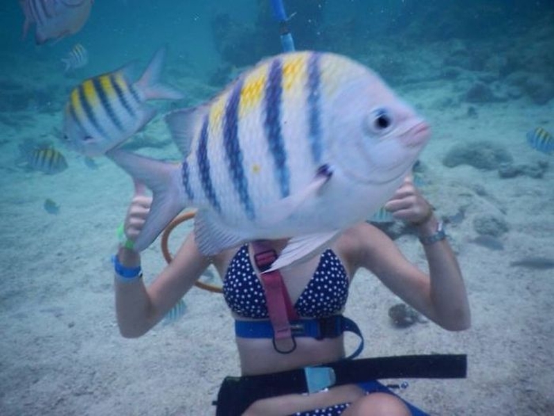 grappige-en-sexy-picdump-deel-24-39