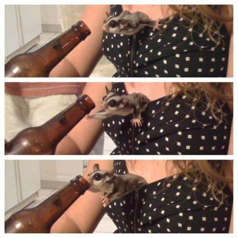 grappige-en-sexy-picdump-deel-24-52