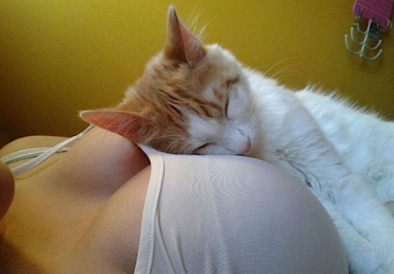 grappige-en-sexy-picdump-deel-24-61