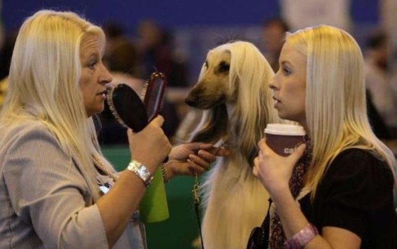 sexy-en-grappige-foto's-picdump-58