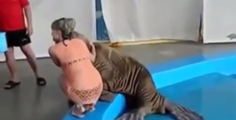 Zeeleeuw: “lekker kontje chick! Hier, pak aan”