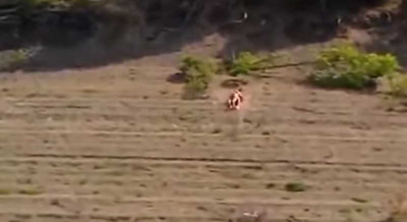 Buitensex eindigt met vuurwerk