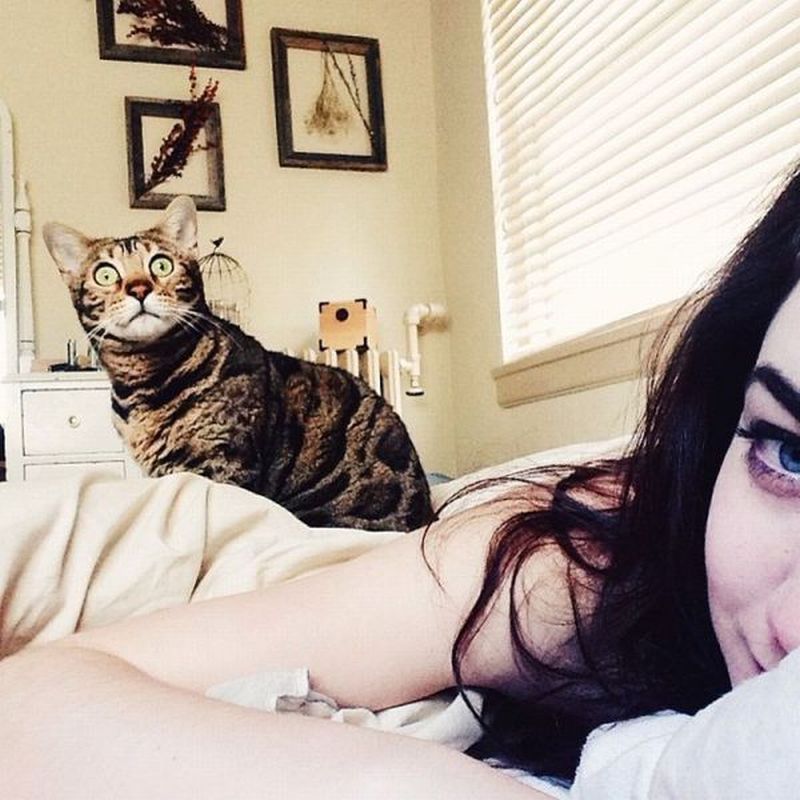 grappige-rare-leuke-vreemde-sexy-plaatjes-44