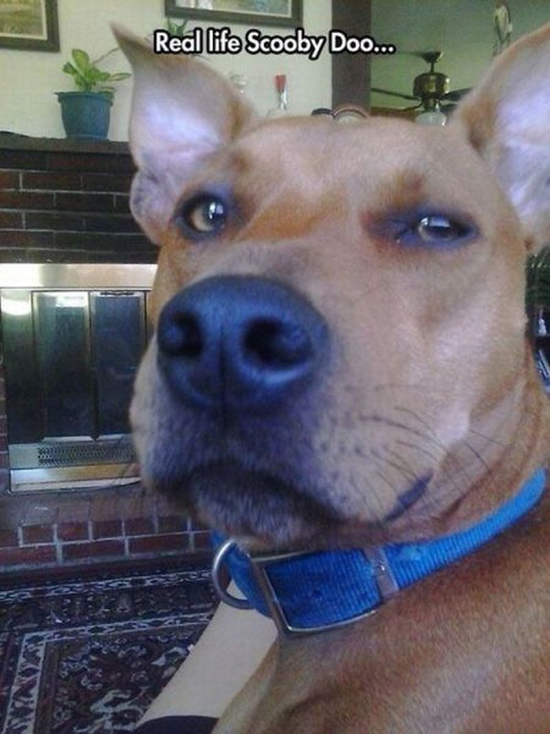 grappige-rare-leuke-vreemde-sexy-plaatjes-62