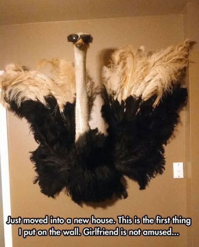 grappige-rare-leuke-vreemde-sexy-plaatjes-67