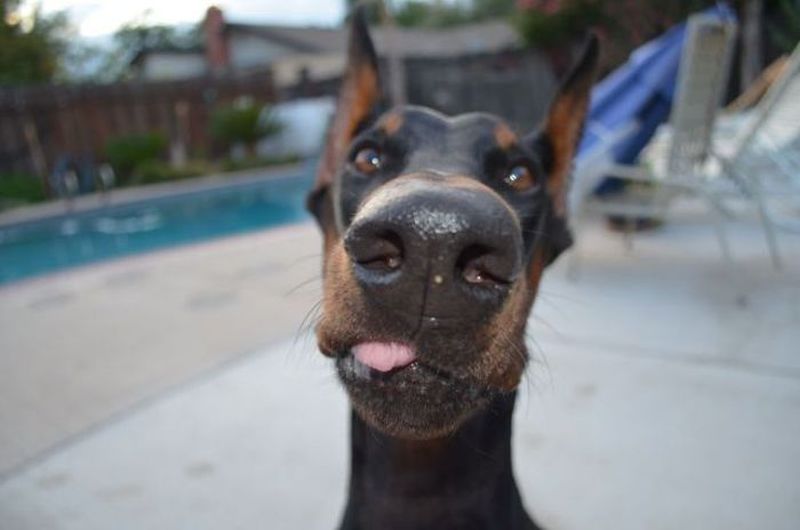 grappige-rare-leuke-vreemde-sexy-plaatjes-68