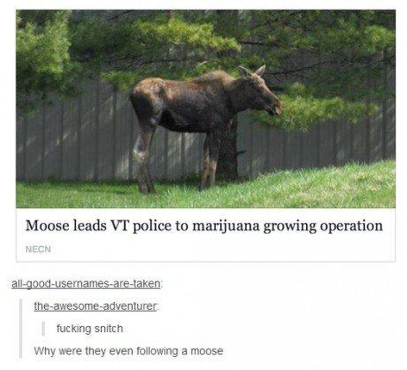 grappige-rare-leuke-vreemde-sexy-plaatjes-77