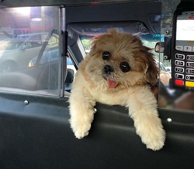 grappige-rare-leuke-vreemde-sexy-plaatjes-83