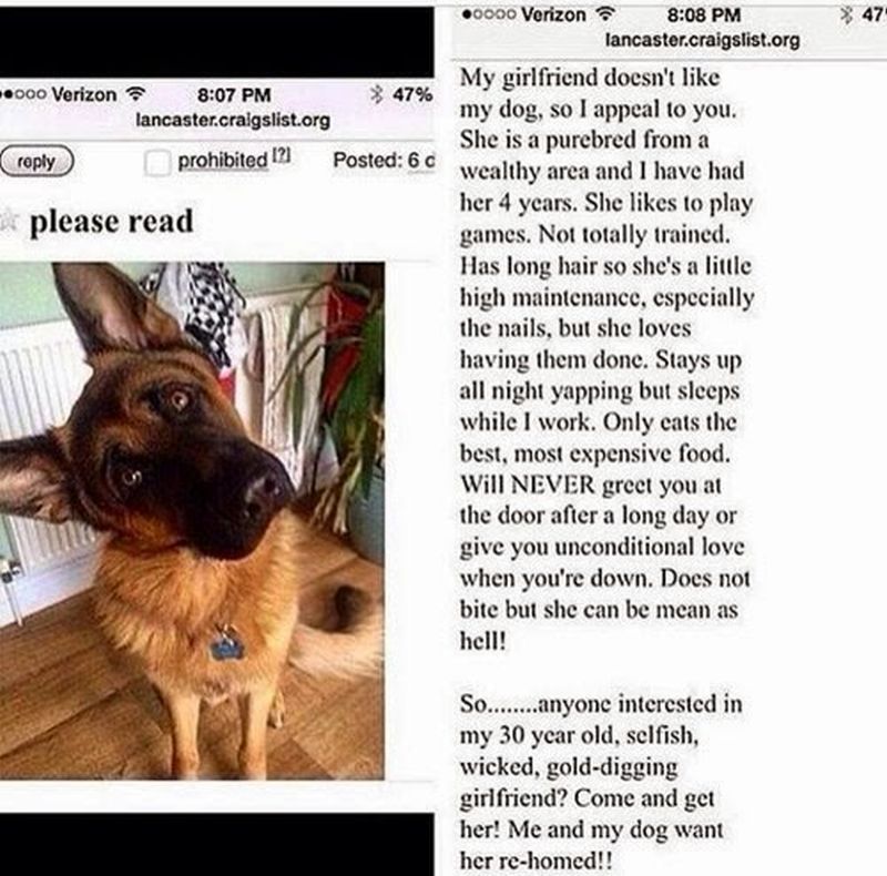 vriendin-houdt-niet-van-hond