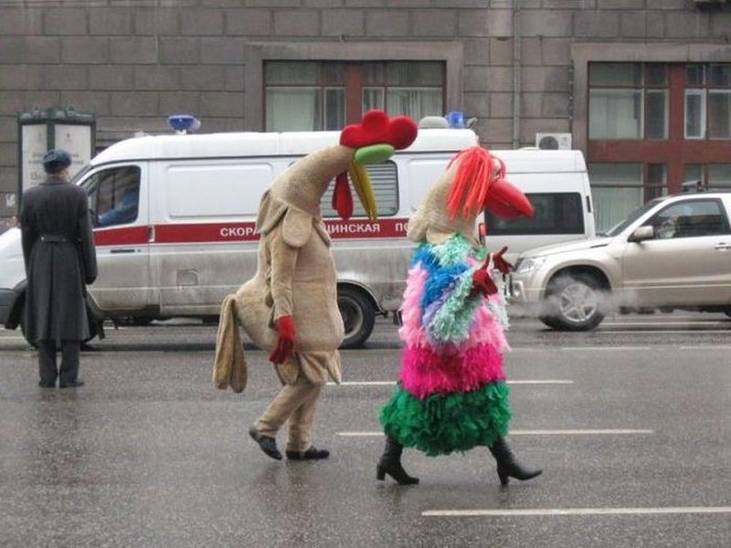 Seks en grappige picdump, ook naakt — photo 51