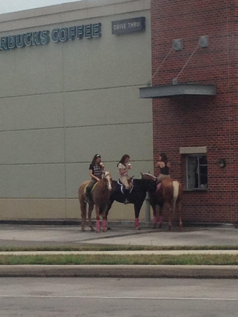 sexy-grappige-en-leuke-foto's-37