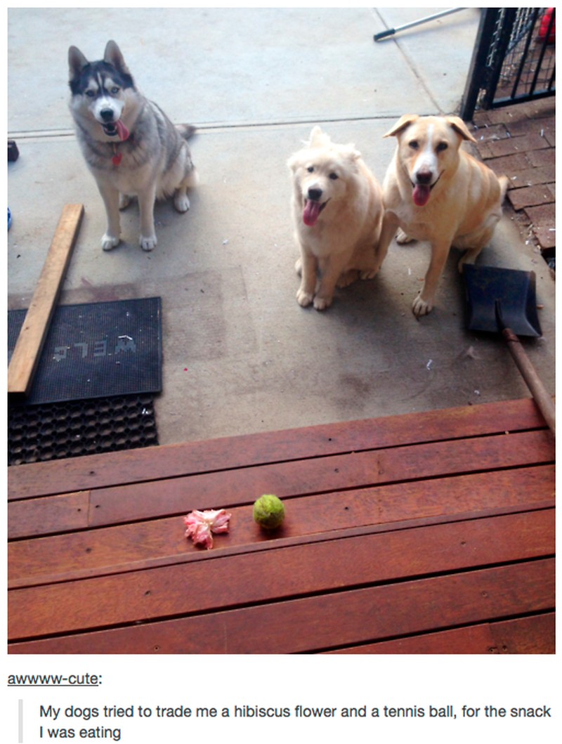 sexy-grappige-en-leuke-foto's-9