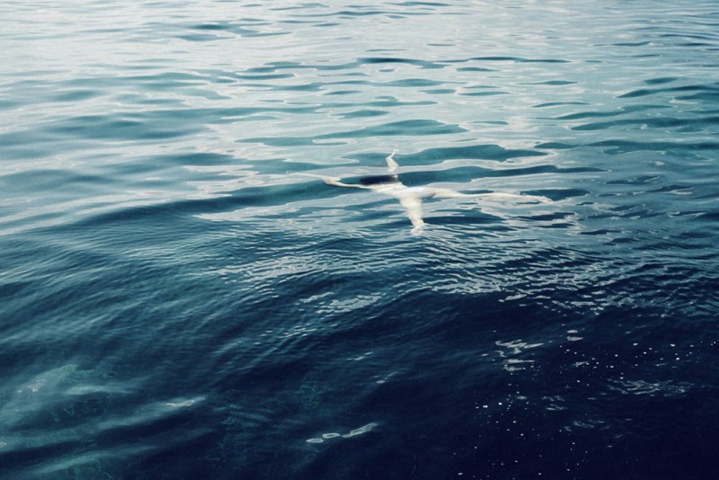 marcela-vivan-hot-in-bower-beachwear-07