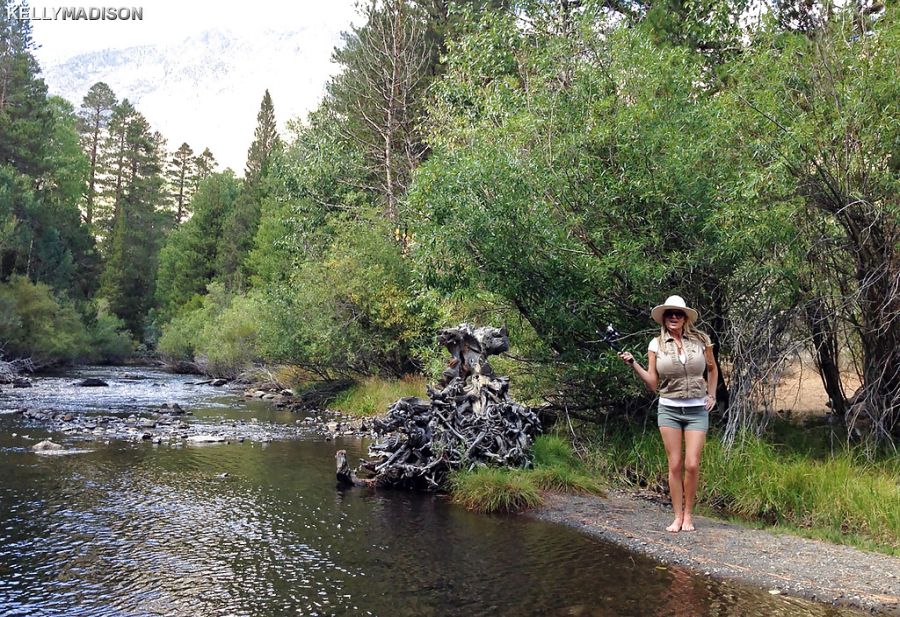 Kelly Madison geile milf grote tieten vissen 12