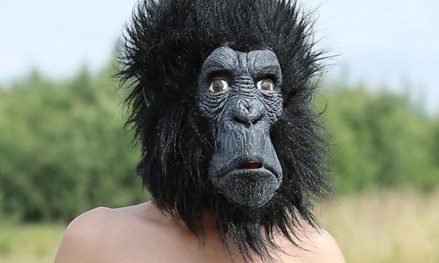 Vrouw in gorillapak zorgt voor arrestatie potloodventer 📷