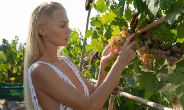 Naakt wijnen met de mooie Nancy A